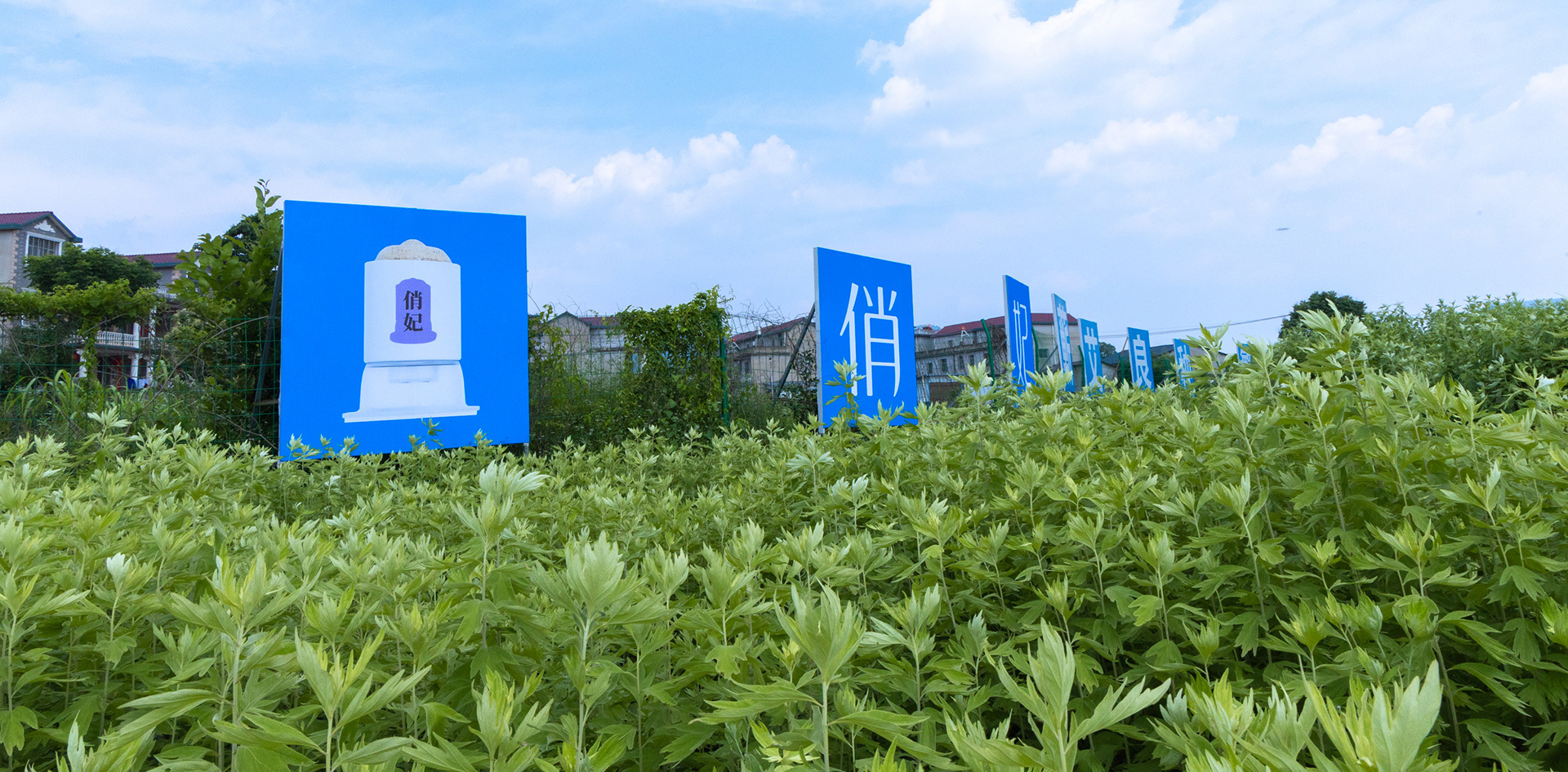 爱善天使健康管理集团有限公司 爱善天使健康管理集团有限公司